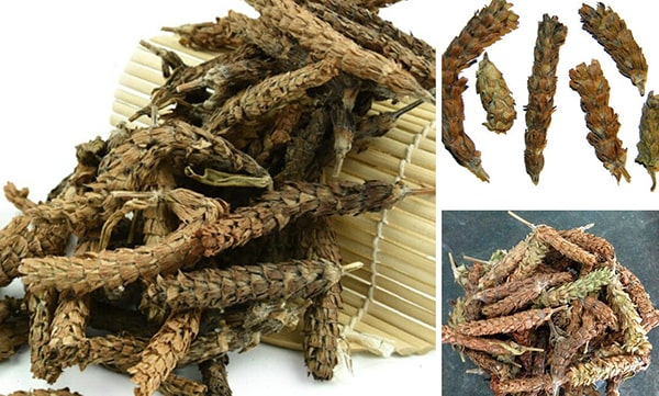 500gr hạ khô thảo bắc hàng loại 1 gt289
