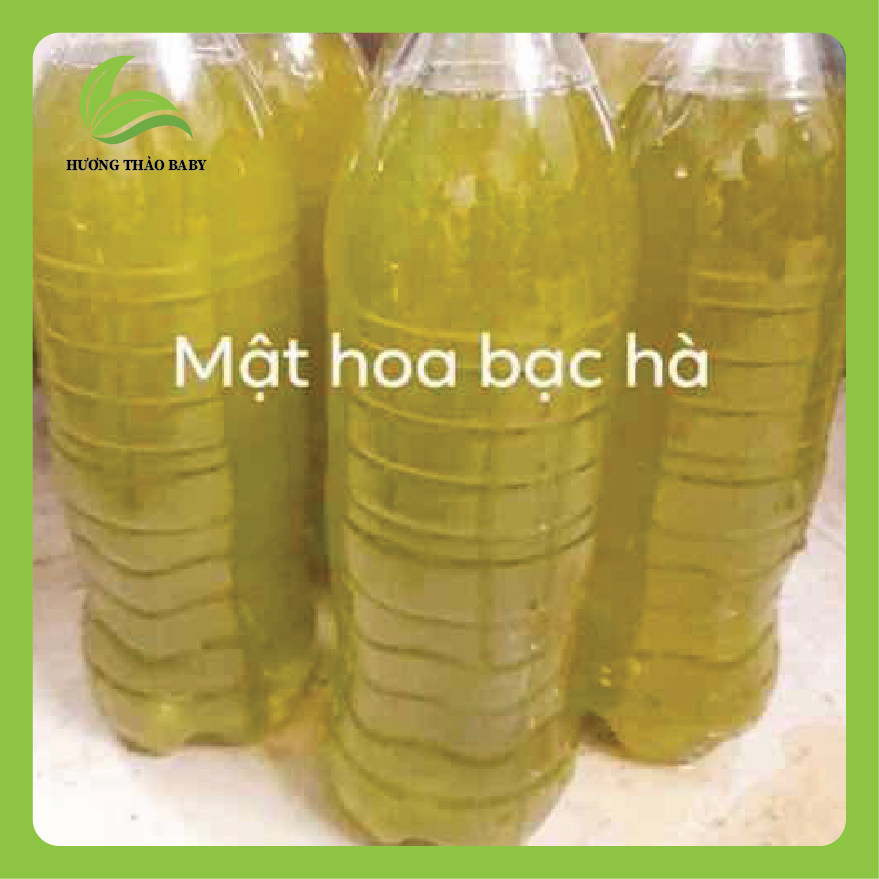 Mật ong hoa bạc hà 500ml nửa lít