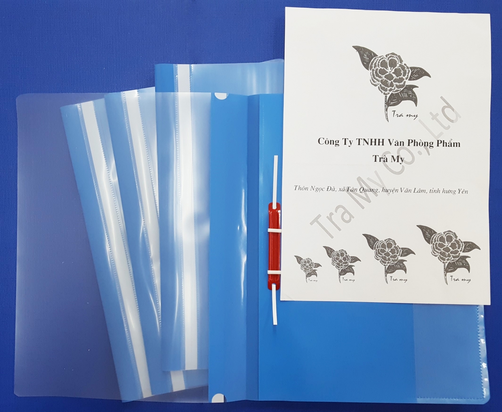 Tập 12 chiếc file Acco bìa nhựa Double A khổ a4, bìa một mặt trong, một mặt nhựa cứng, nẹp acco