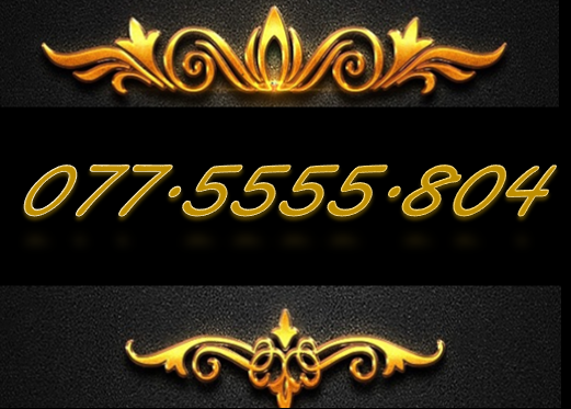 Sim tứ quý 077.5555.804