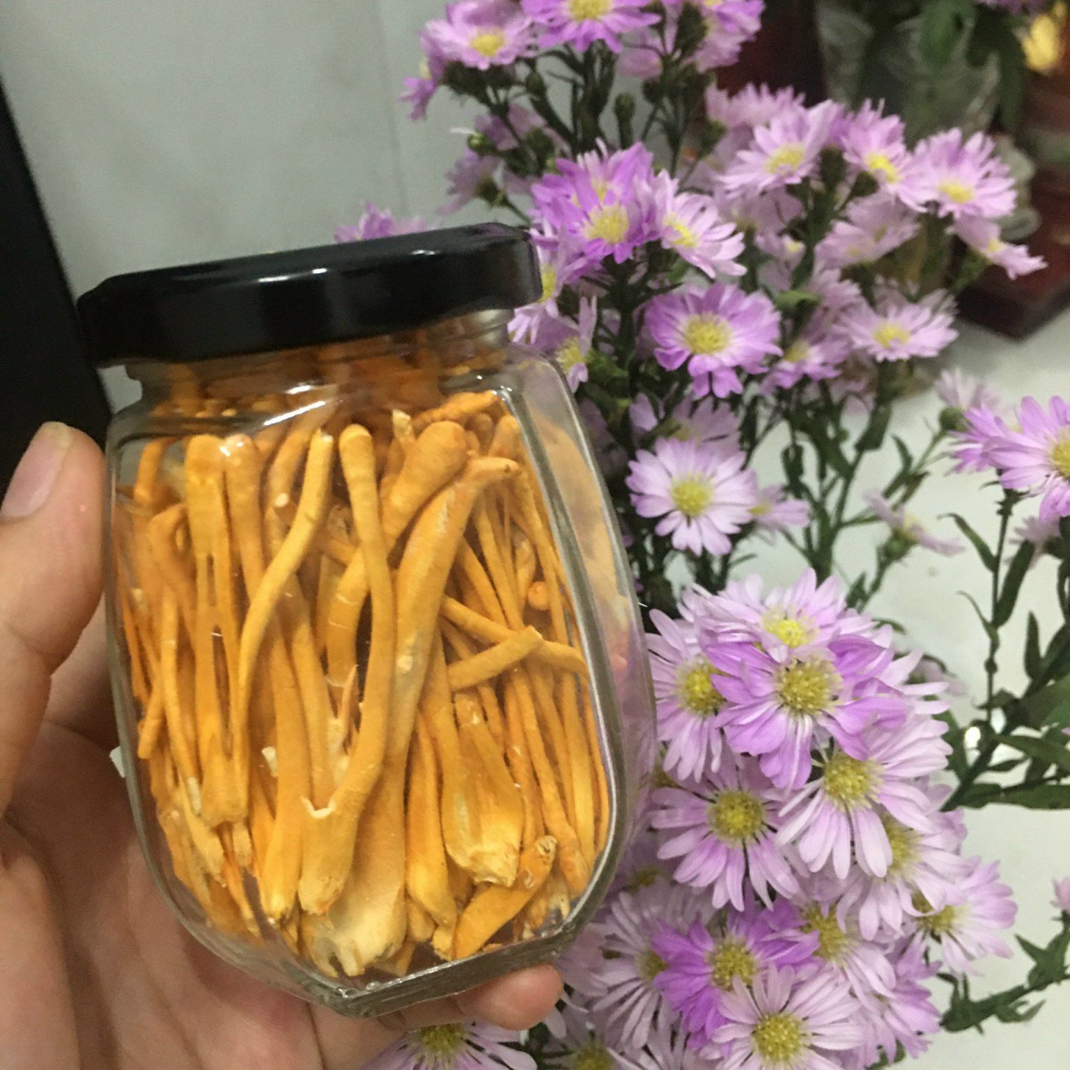 Đông Trùng Hạ Thảo Sấy khô Lọ10Gram - Đông Trùng Hạ Thảo Sấy Thăng Hoa