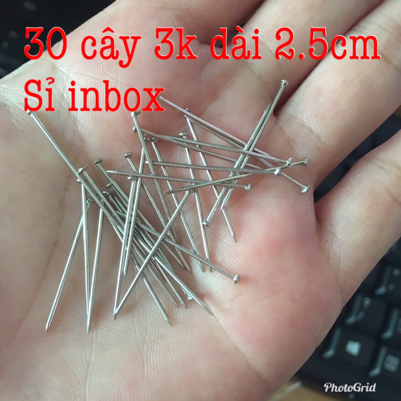 30 đinh ghim dài 2.5cm