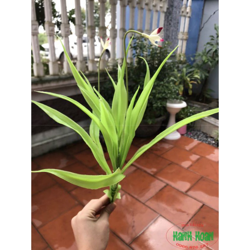 Cụm lá dứa hoa - Hoa giả