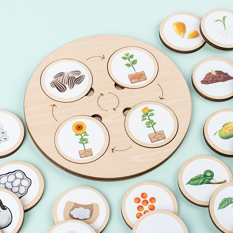 Đồ chơi giáo dục montessori xếp hình vòng đời sinh trưởng động thực vật chất liệu gỗ nhận thức sớm cho trẻ
