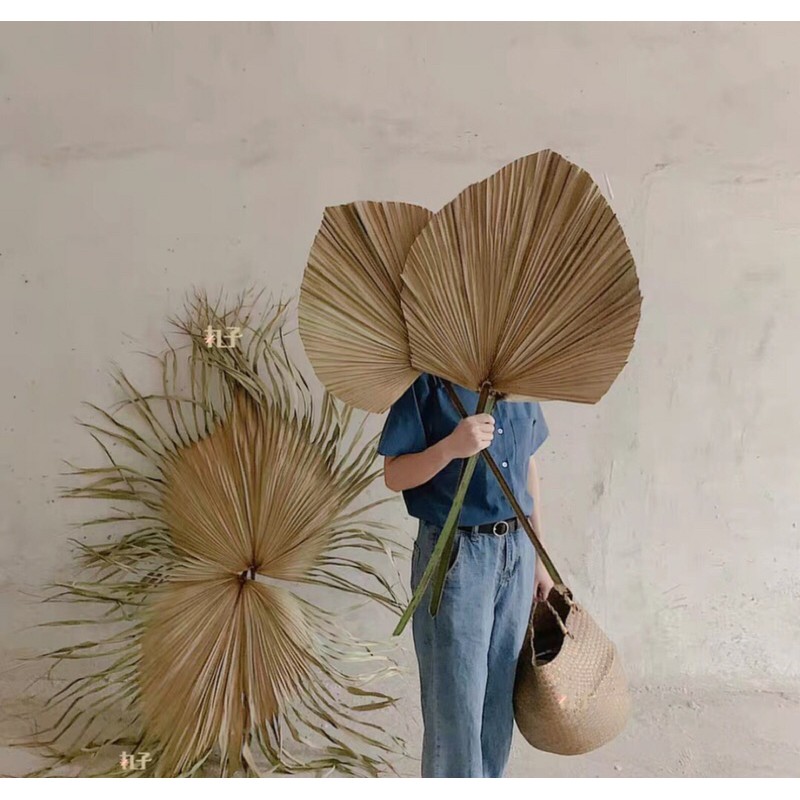 Combo lá cọ, cỏ lau