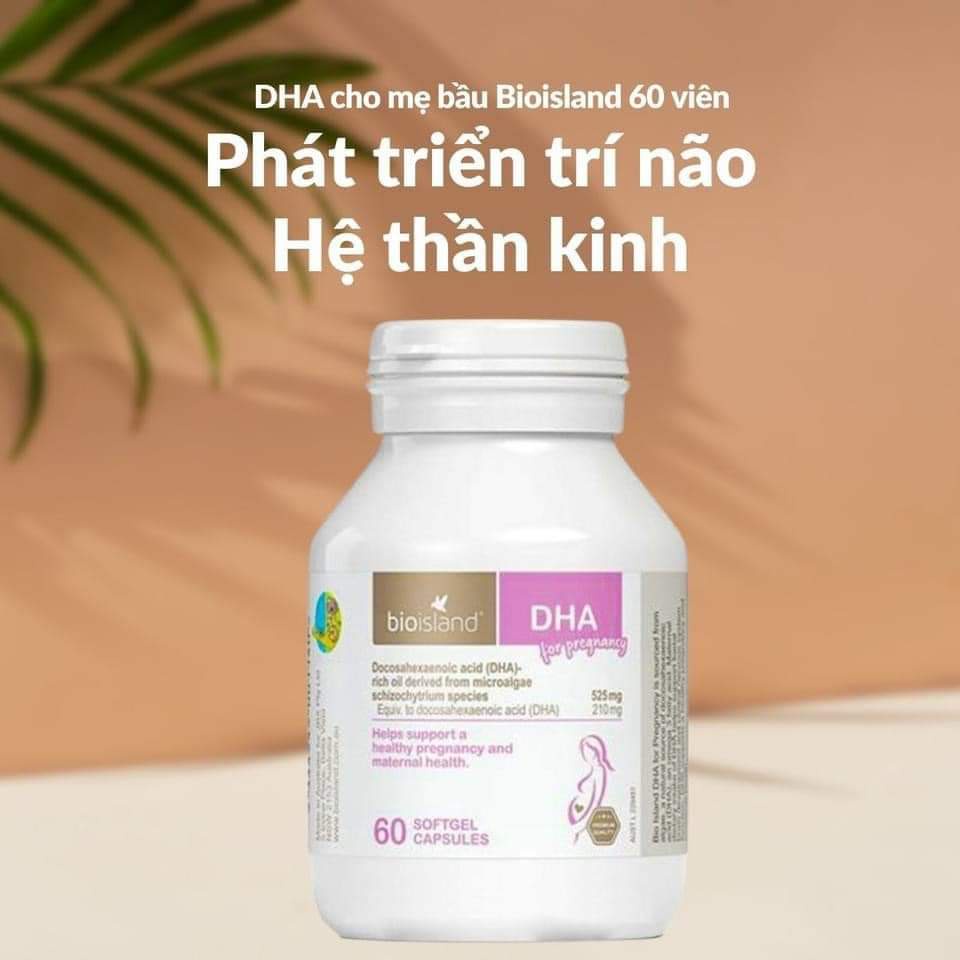 Dha bầu bioisland 60 viên . ntdt