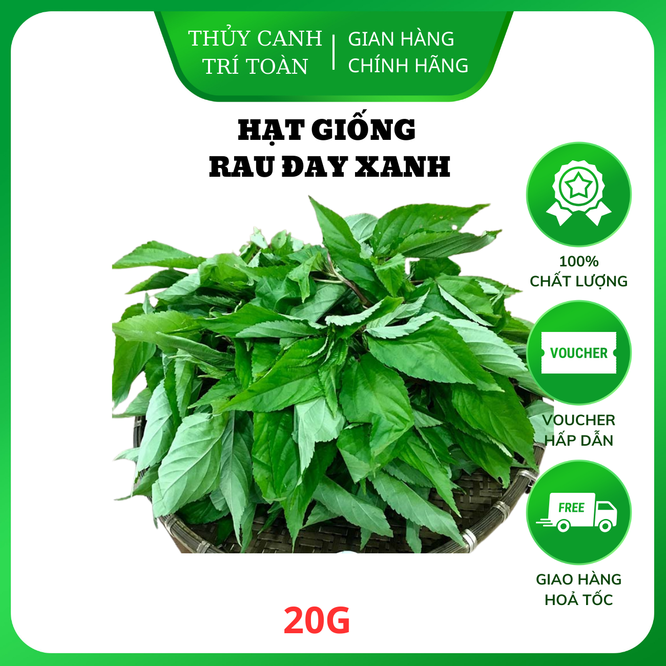 Hạt giống Rau Đay Xanh nhanh thu hoạch, sinh trưởng khỏe, trồng quanh năm - Hạt giống Rạng Đông
