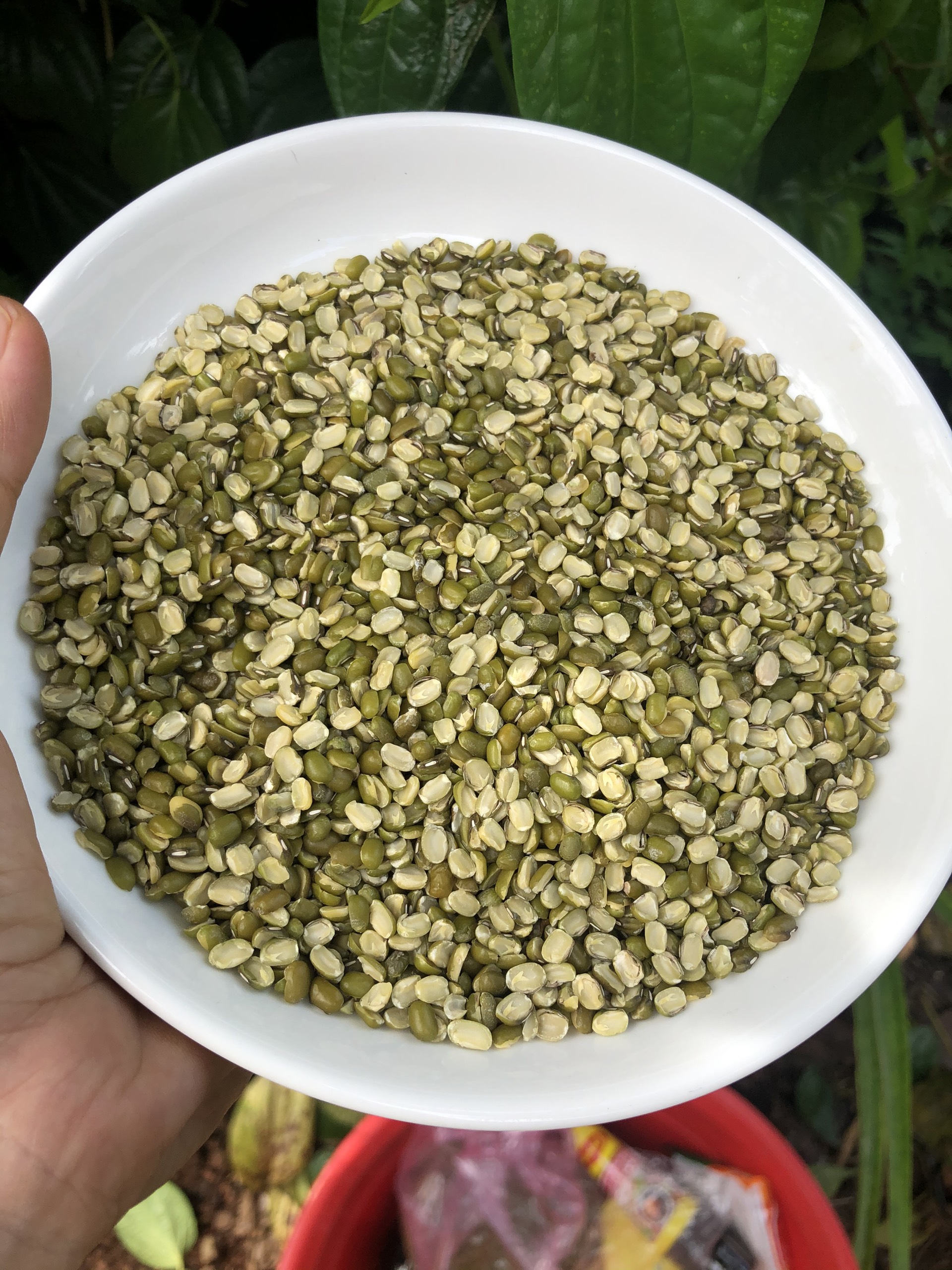 Đậu xanh cà nửa, cà còn vỏ 500gr