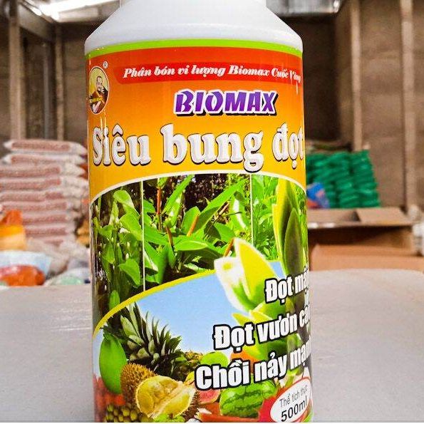Phân bón bung chồi vọt đọt xanh cây mập cây tàn dù hay hiệu quả