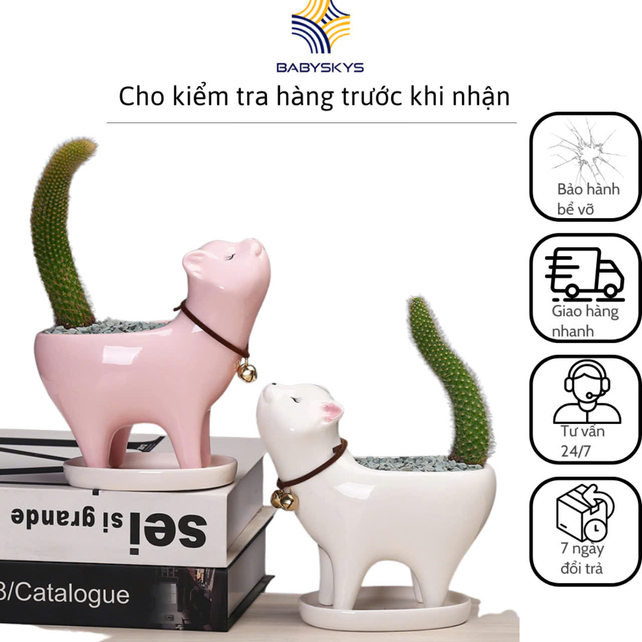 Chậu sứ trồng cây sen đá xương rồng cây mini mèo để bàn văn phòng chậu không cây