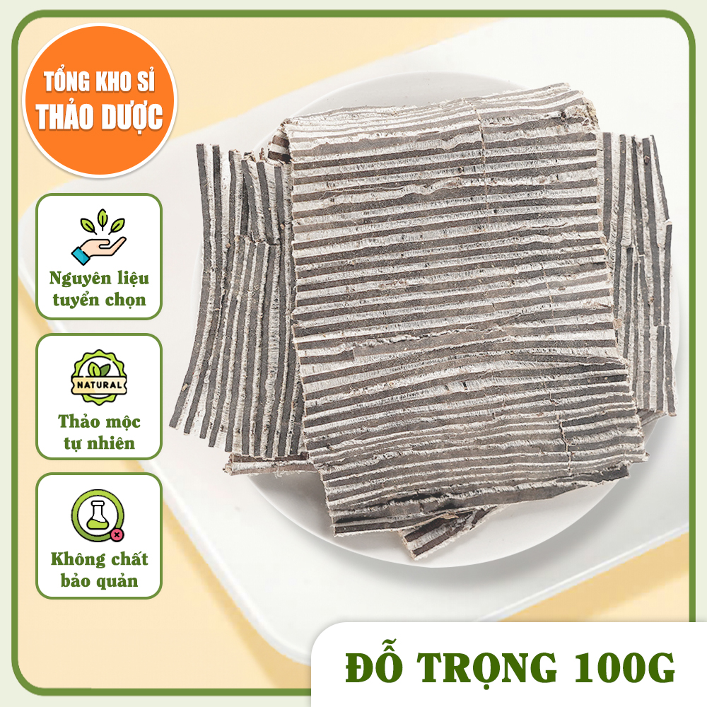Đỗ trọng bắc 100g, đỗ trọng khô, hàng dập sợi đẹp, miếng to - Tổng Kho Sỉ Thảo Dược