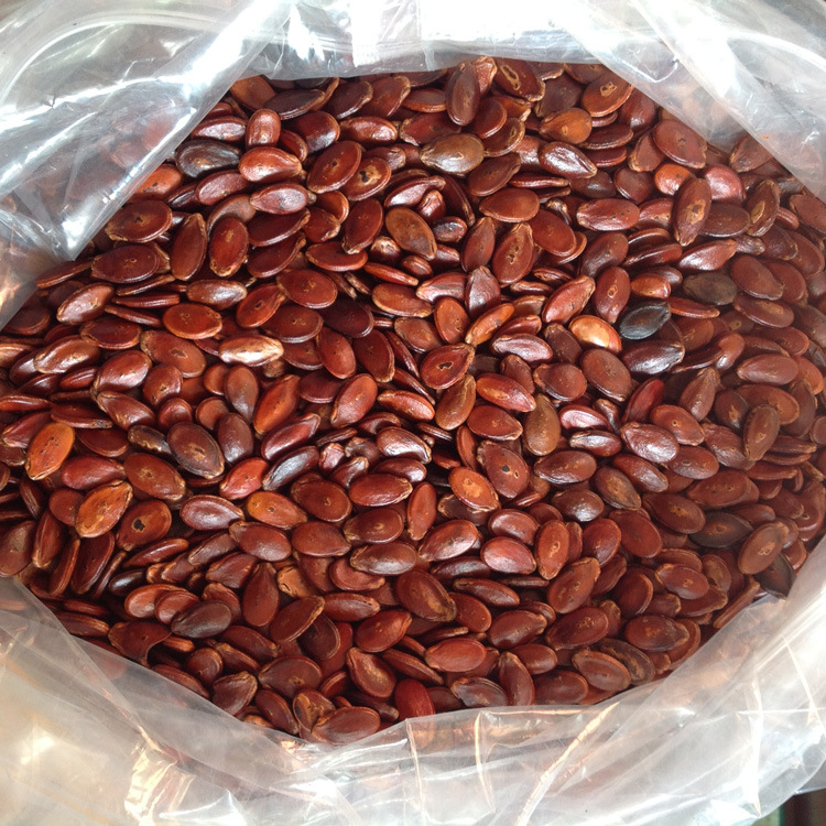 Combo 1000g Hạt dưa đỏ / Hạt dưa sạch Gia Long không phẩm màu được rang tay thủ công món ăn vặt ngon tốt cho sức khỏe