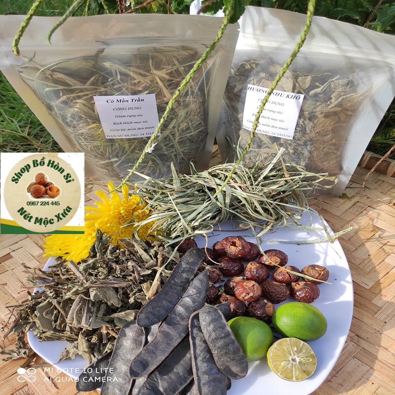 HƯƠNG NHU KHÔ (HÀNG TỰ NHIÊN) 100 gam