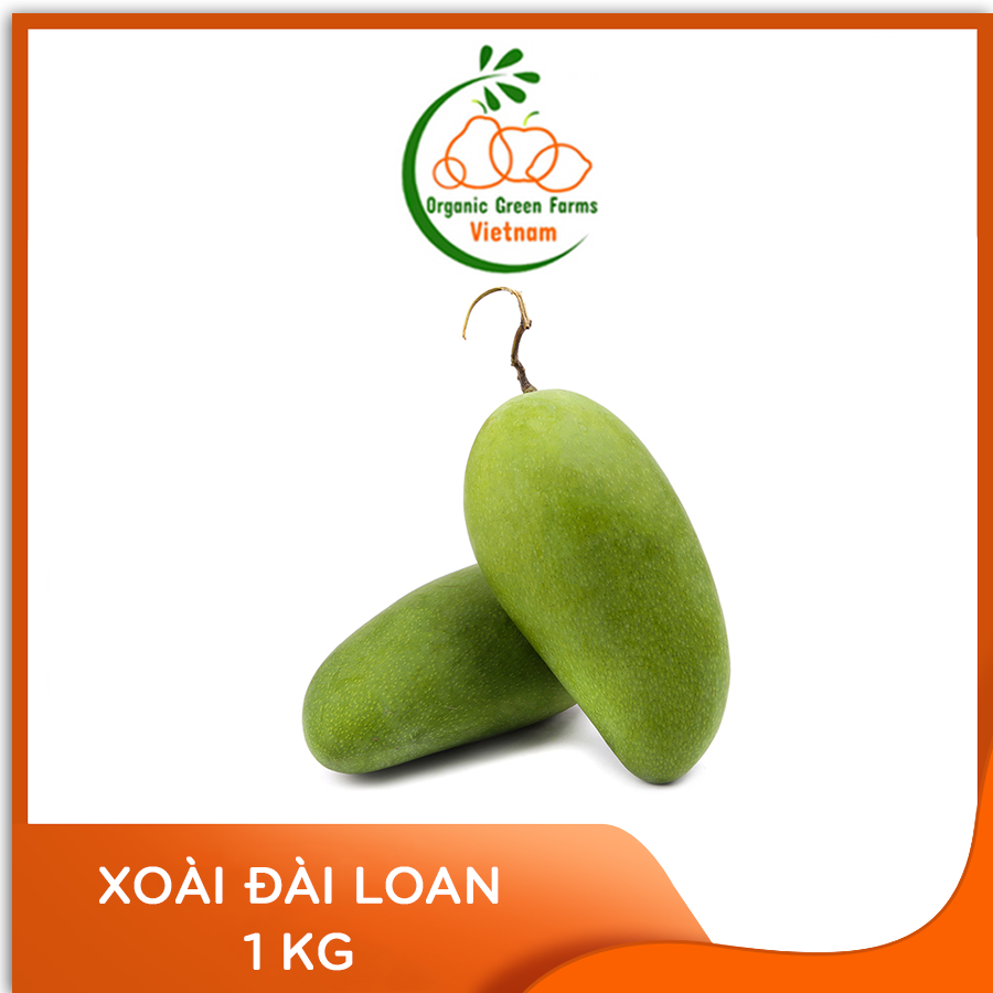 - xoài đài loan - giao nhanh hcm