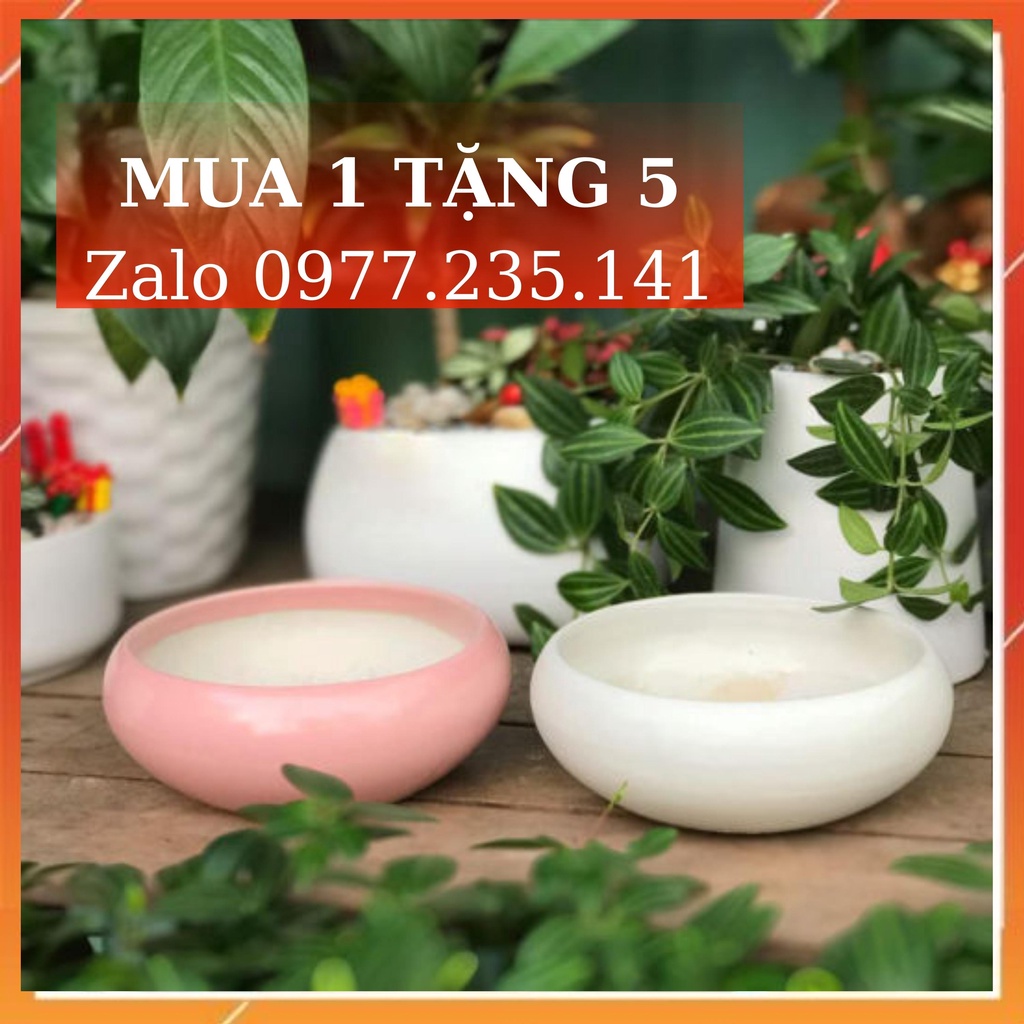 Chậu sứ Bát Tràng Ang Thấp trồng cây Để Bàn, Sen Đá, Xương rồng