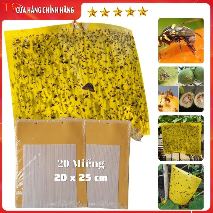 [ 20 Miếng] BẪY RUỒI VÀNG Côn Trùng Đục Trái 20 x25 cm  Dính 2 Mặt, An Toàn Sinh Học