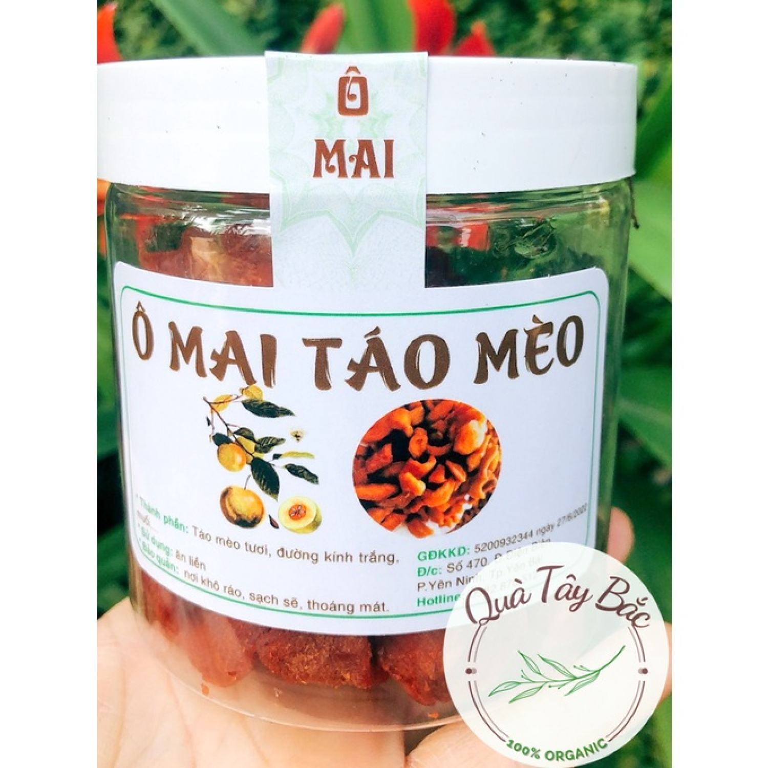 Ô mai táo mèo, đặc sản vùng cao tây bắc