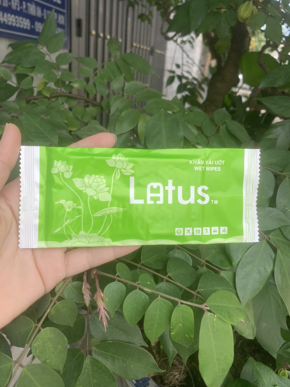 Combo 100 cái khăn lạnh ướt latus, loại cao cấp, vải bi