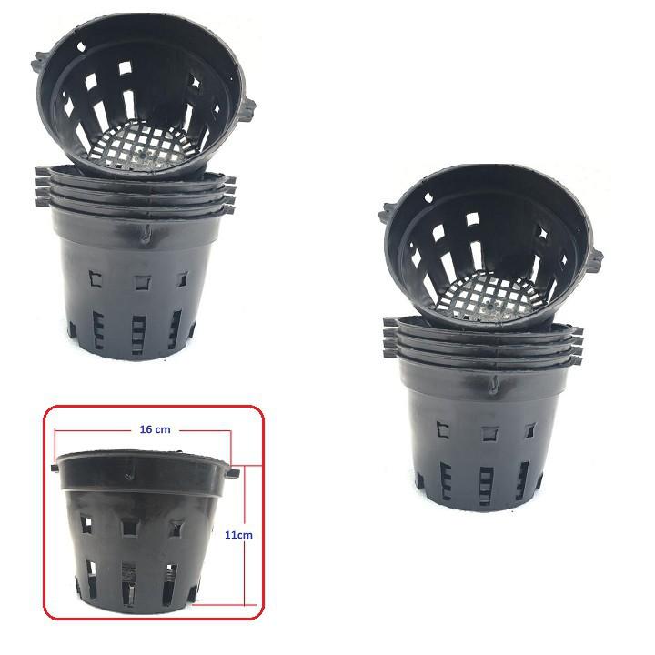 Combo 10 chậu trồng hoa lan bằng nhựa, đk 16cm