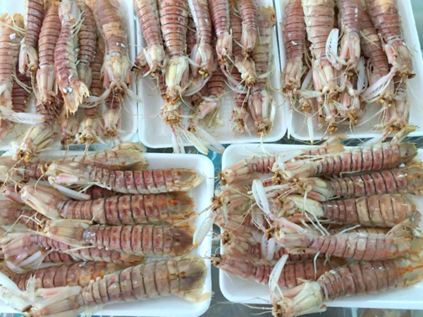 HCM - Tôm Tít Hấp Nguyên Con 1Kg