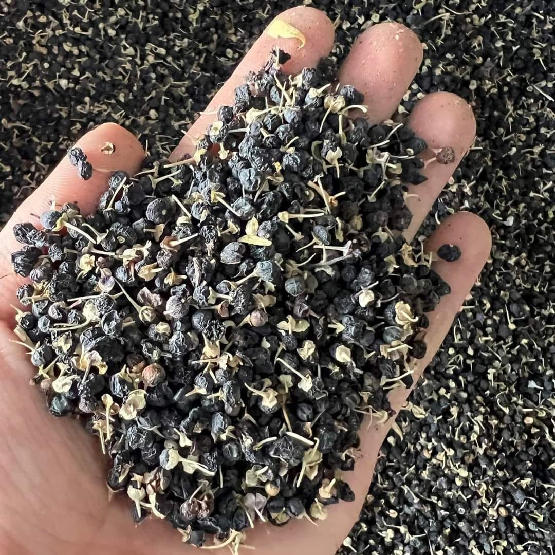Hắc kỷ tử sấy khô quả to size đại, Hắc kỉ tử organic Tây Tạng mắt đẹp da chống lão hóa