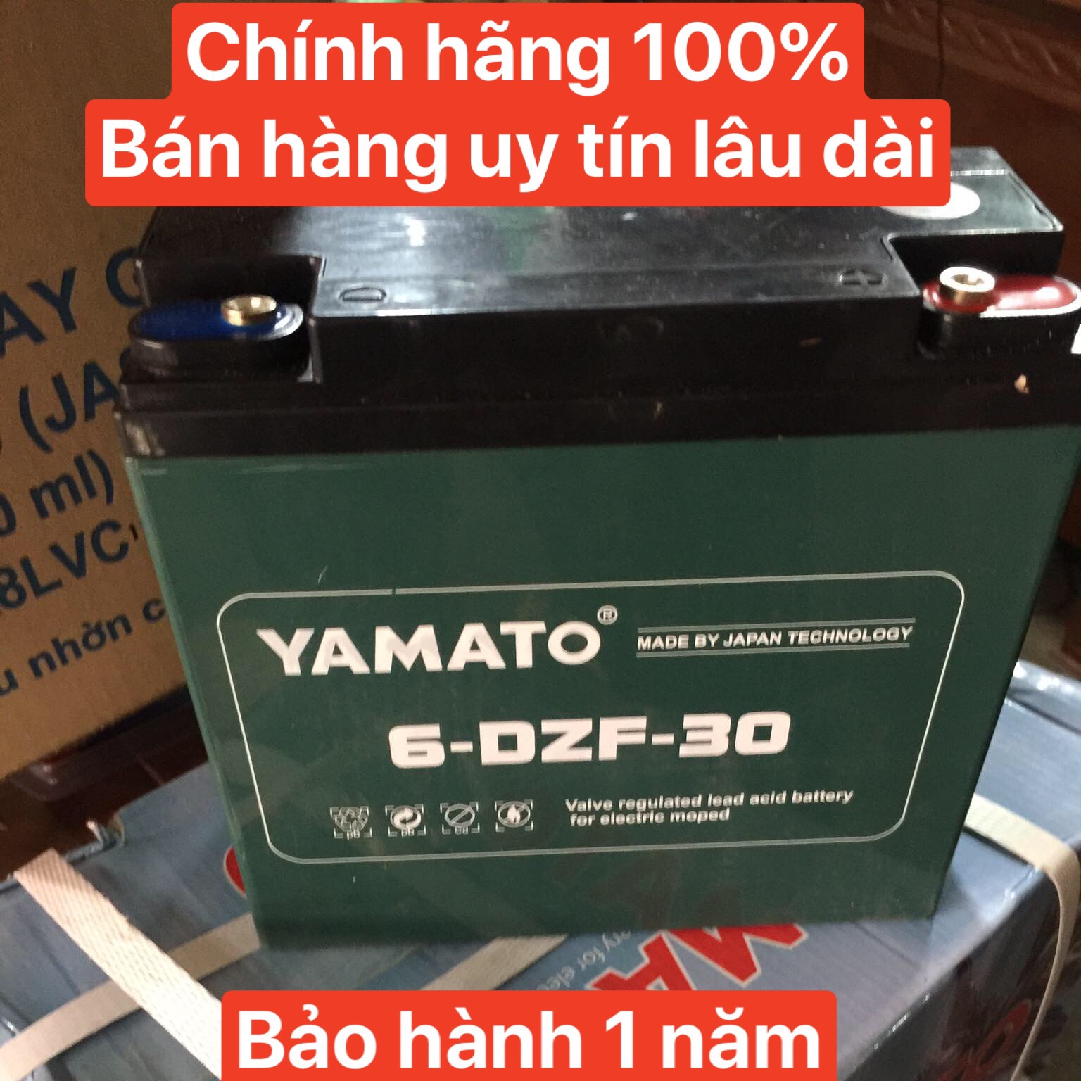 Ắc quy xe đạp điện 12V 30Ah Yamato 6-DZF-30 (6-DZM-30 / 6DZF30)
