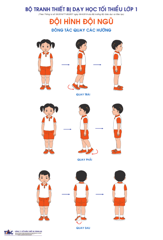 Bộ tranh về đội hình đội ngũ