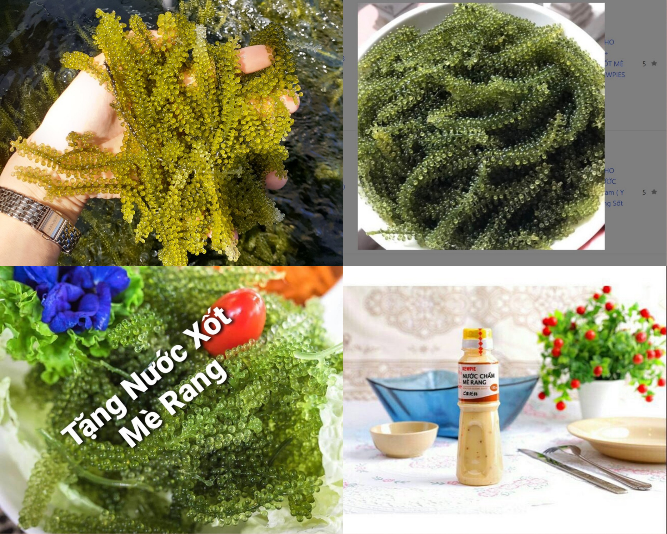 rong nho khô 1kg + Tặng 1 chai nước chấm mè rang Kewpie (rong nho tách nước)