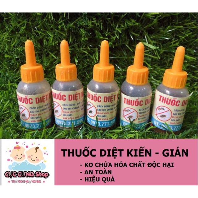 Thuốc diệt kiến, diệt gián thần thánh