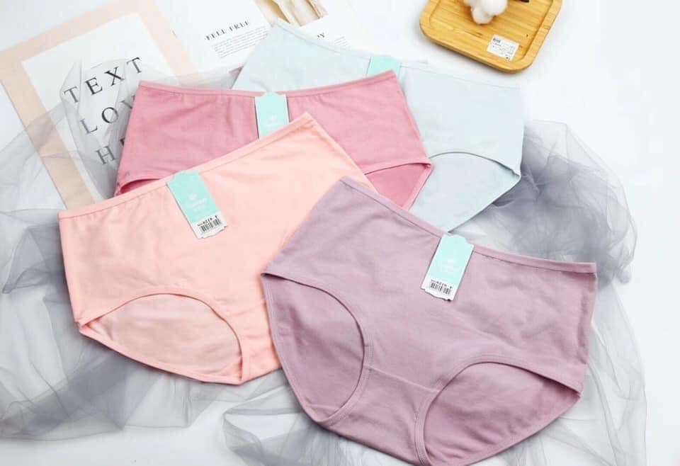 Combo 5 quần lót cotton size lớn đến 70kg