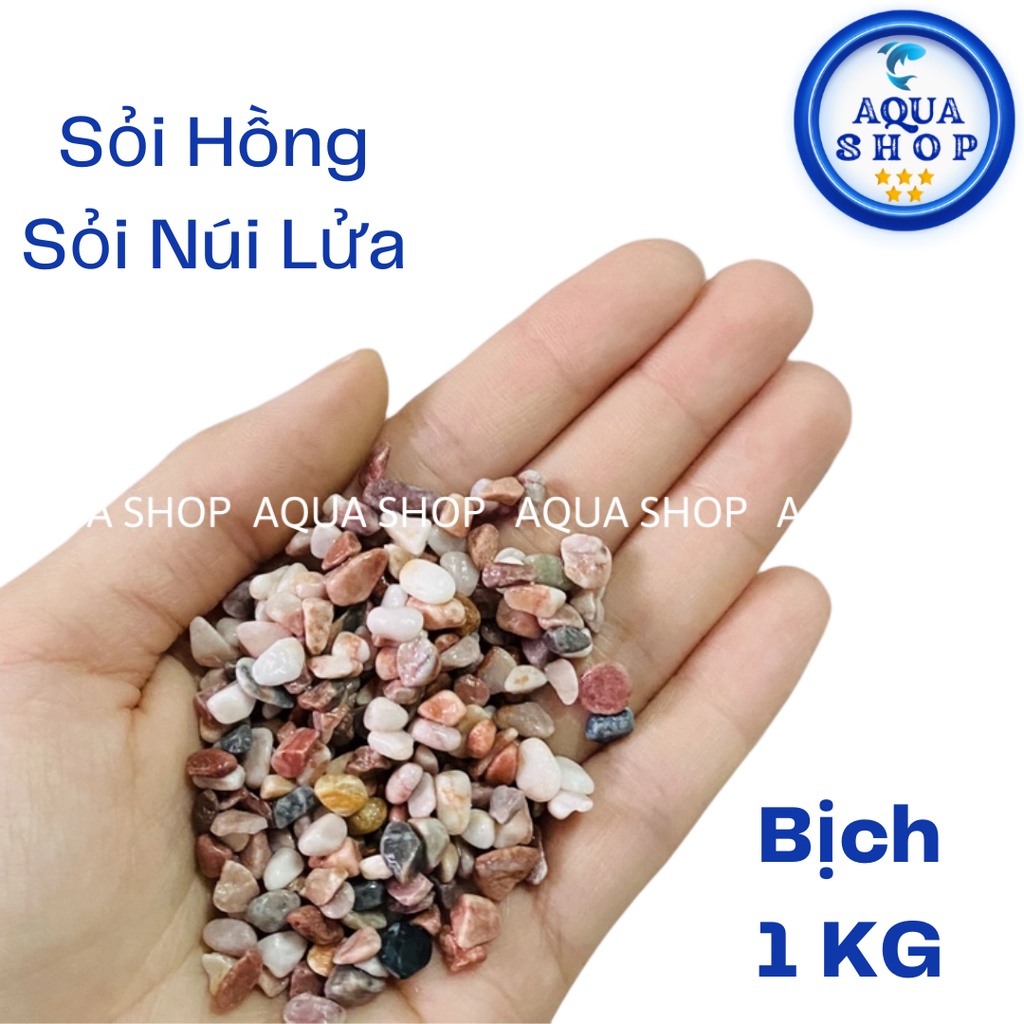 Sỏi núi lửa 1kg - trải nền trang trí bể cá, bể thủy sinh và hỗ trợ lọc nước sạch bể