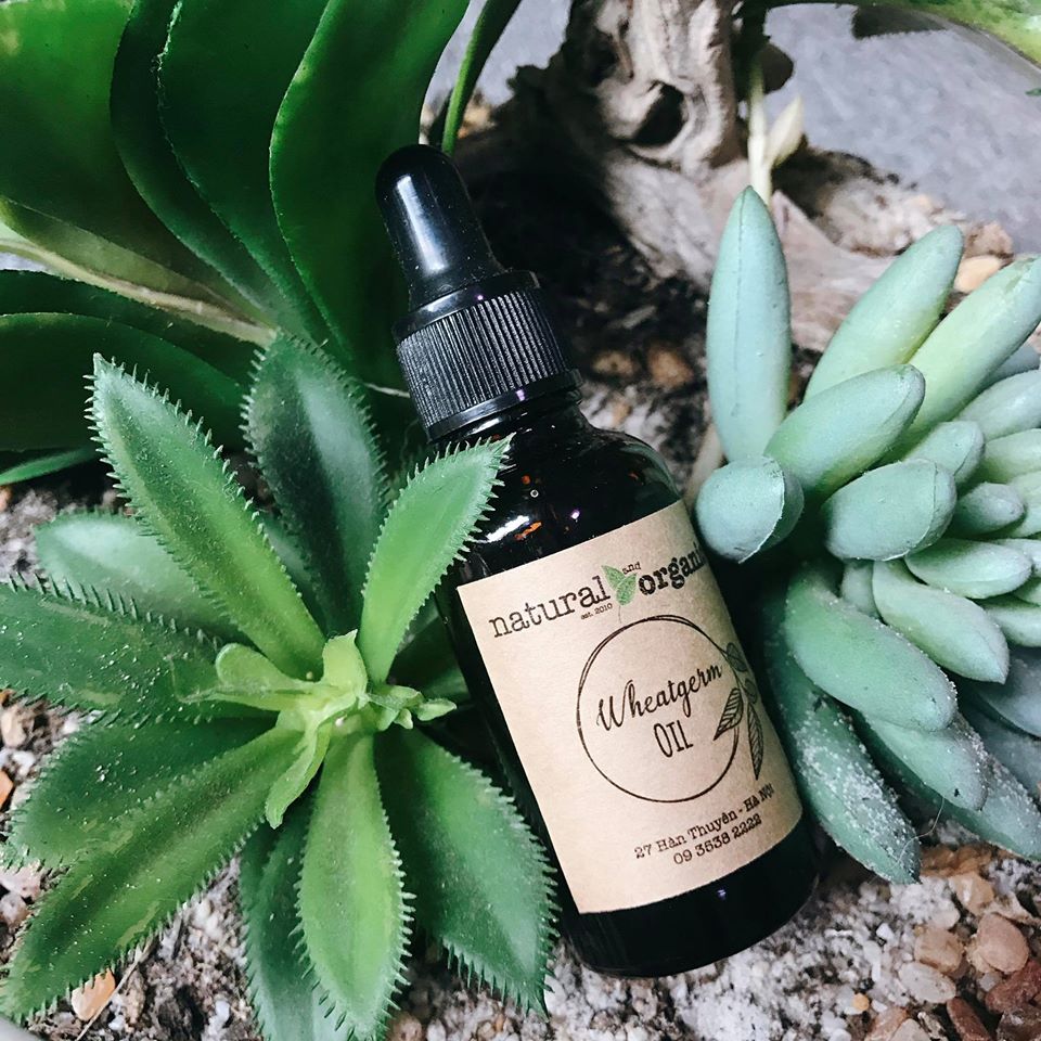 Dầu hạt lúa mì Wheat Germ Oil Mountain Rose Herbs