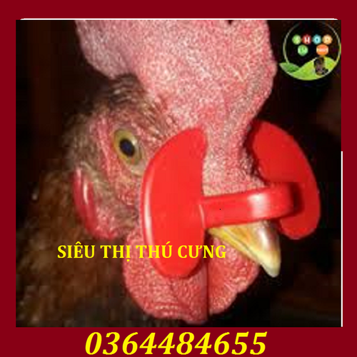 SET 30 MẮT KÍNH KHÔNG CHỐT CHO À TRÁNH MỔ NHAU