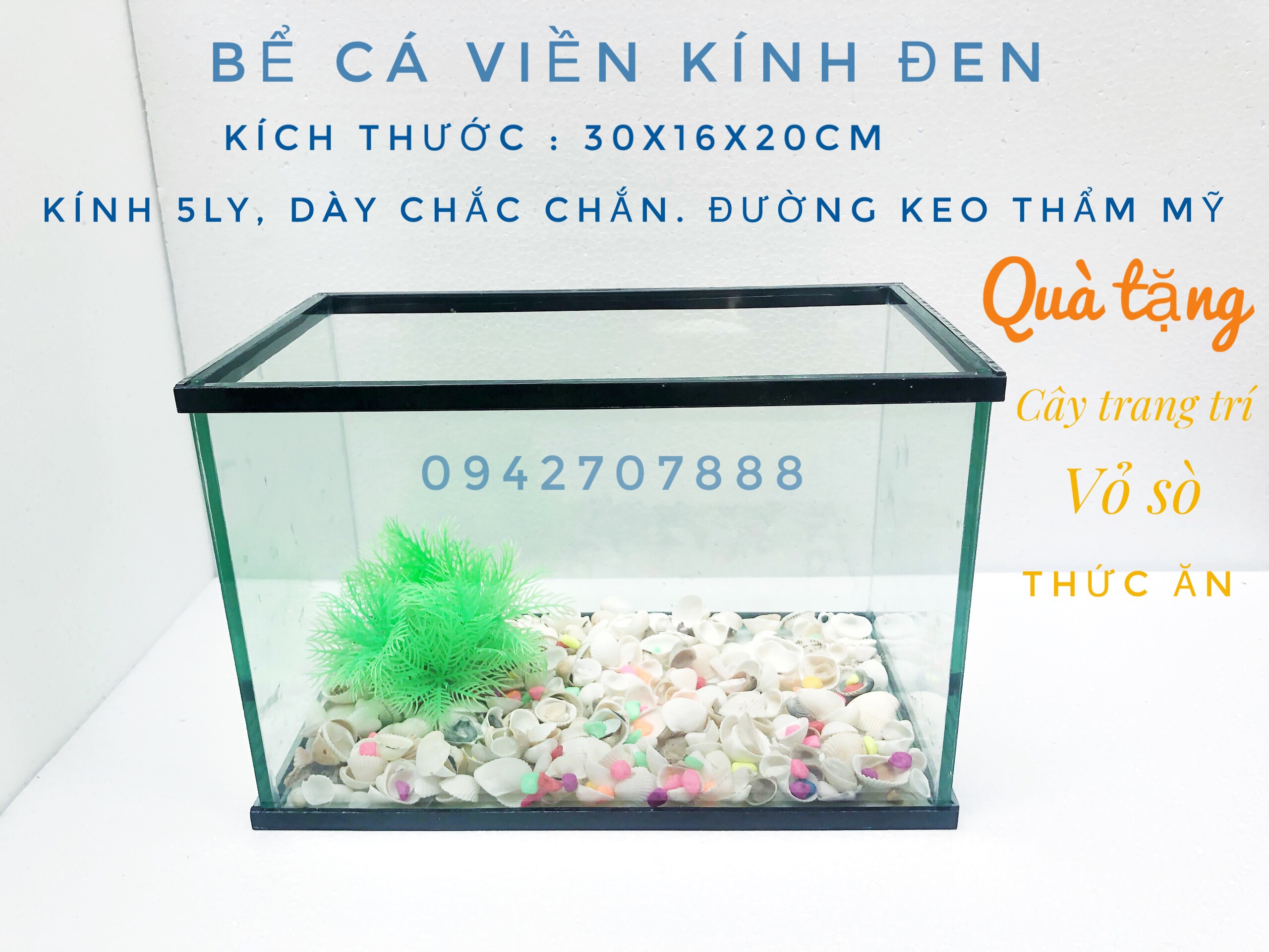 RBS Bể cá, bể rùa cảnh trang trí cỡ 30*16*20cm - phụ kiện tiện ích cho thú cưng của bạn