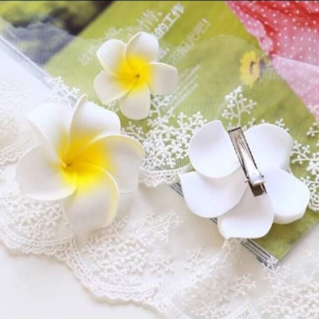 Sét kẹp hoa sứ