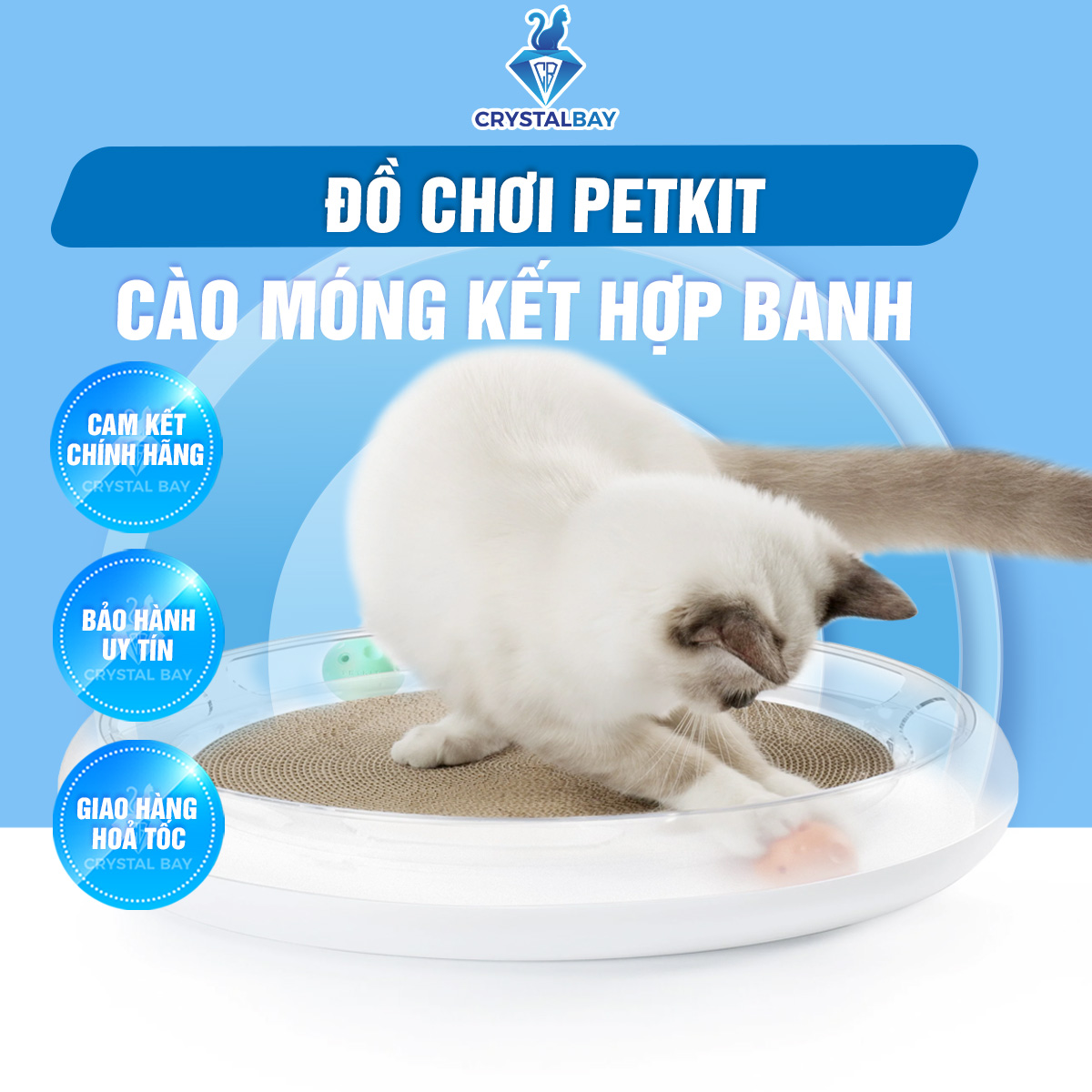 BÀN CÀO MÓNG PETKIT CHO MÈO KẾT HỢP BÓNG ĐỒ CHƠI