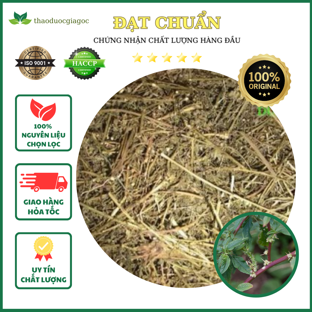 500gr cây dền gai khô chống nhức mỏi xương khớp.