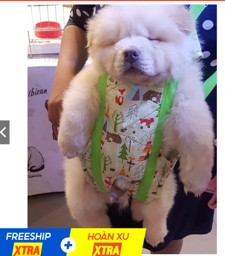 ĐỊU THÁI Địu ngực cho chó đi chơi VẬN CHUYỂN (xe máy, đi dạo..) | Đệm vai êm ái BAO CHẮC CHẮN ĐỦ KÍCH CỠ