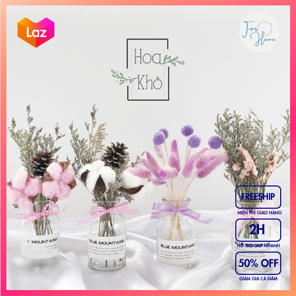 ⚡BAO GIÁ TOÀN SÀN⚡ Set Bông Gòn, Quả Thông, Lá Bạch Đàn Khô Decor Chụp Ảnh Trang Trí