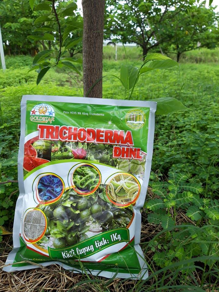 Chế phẩm vi sinh nấm đối kháng trichoderma đhnl gói 1kg