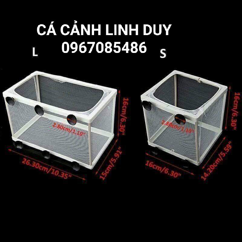 Lồng đẻ lồng dưỡng cá lớn