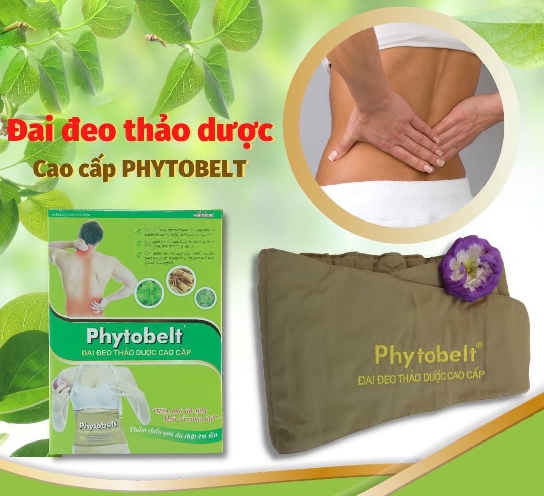 Đai đeo thảo dược cao cấp phytobelt – ad05.lkm likima