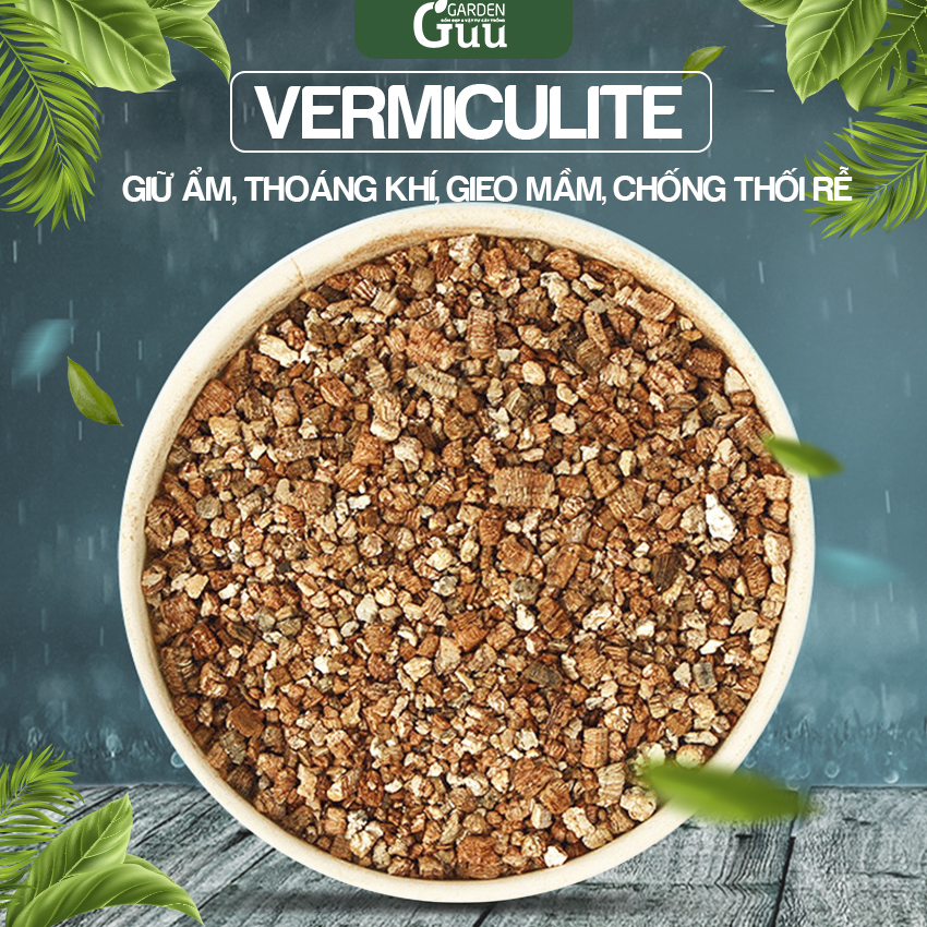 Đá Vermiculite trồng sen đá xương rồng Guu Garden giá thể ươm mầm cây non kích rễ phát triển  Guu Garden