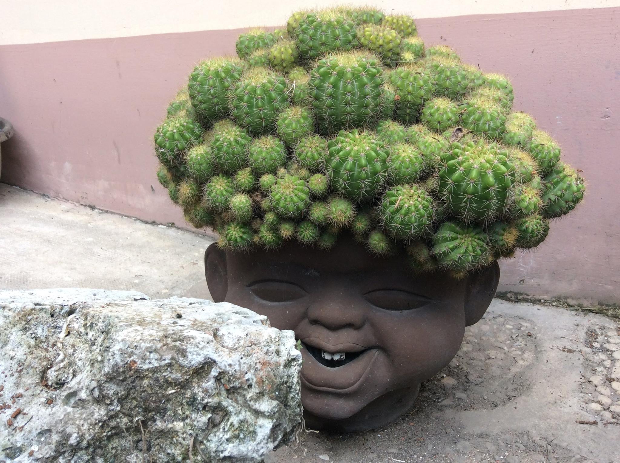 [HCM]CHẬU ĐẤT NUNG TÍ SÚN (LỚN)