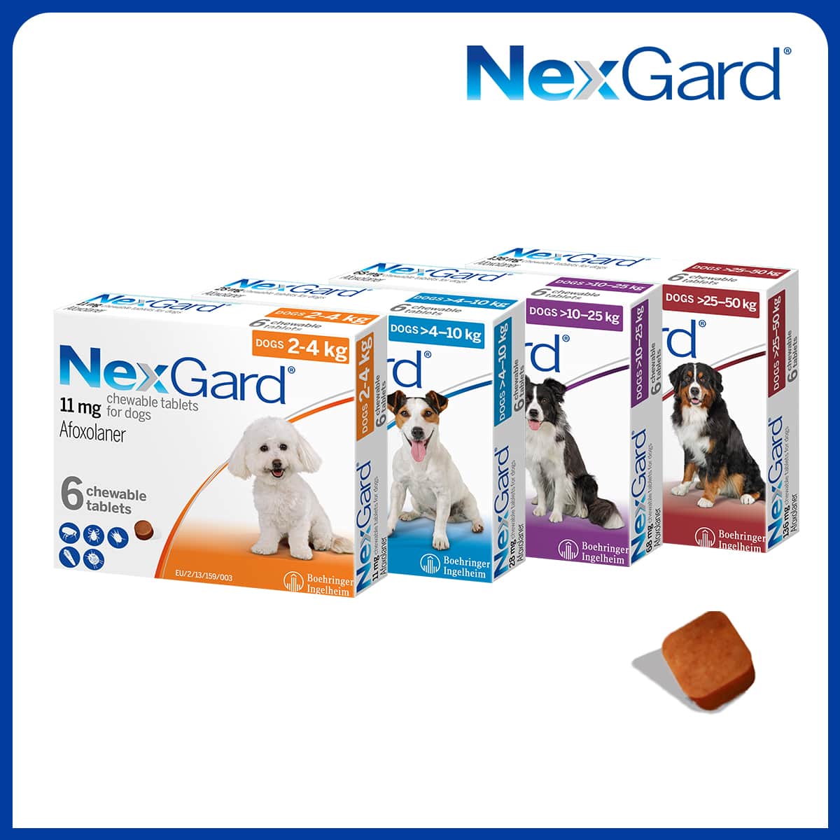 [HÀNG THANH LÝ] Viên Nexgard, Nexgard Spectra Hết Hạn, Hạn sử dụng 2025, Vui Lòng Xem Kĩ