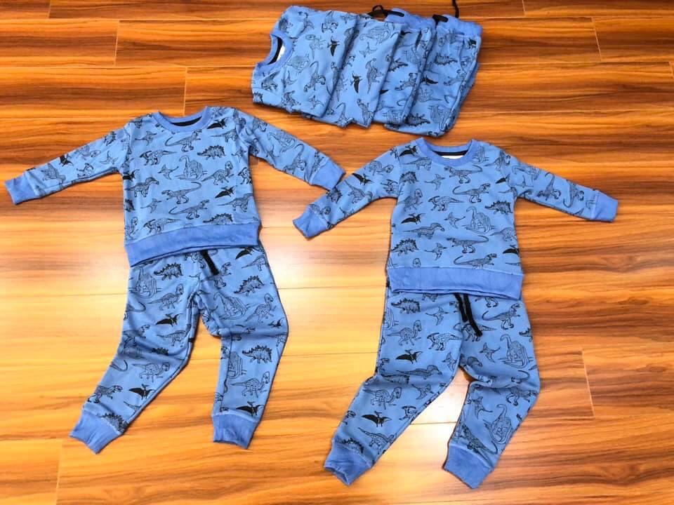 Bộ đồ khủng long H&M, chất liệu nỉ da cá cho bé từ 2-8 tuổi