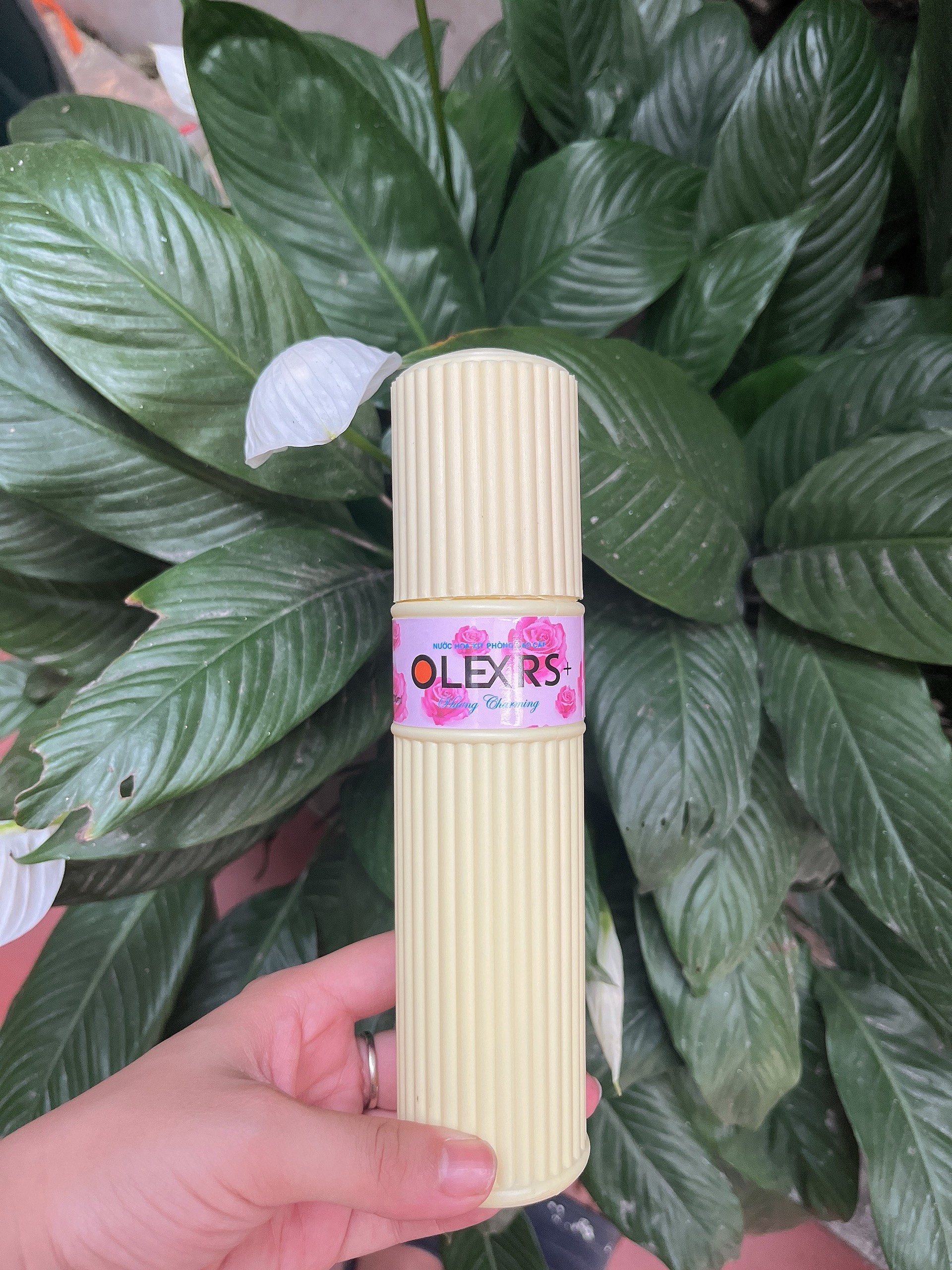 ⛔giadunghoalong⛔ nước hoa xịt phòng