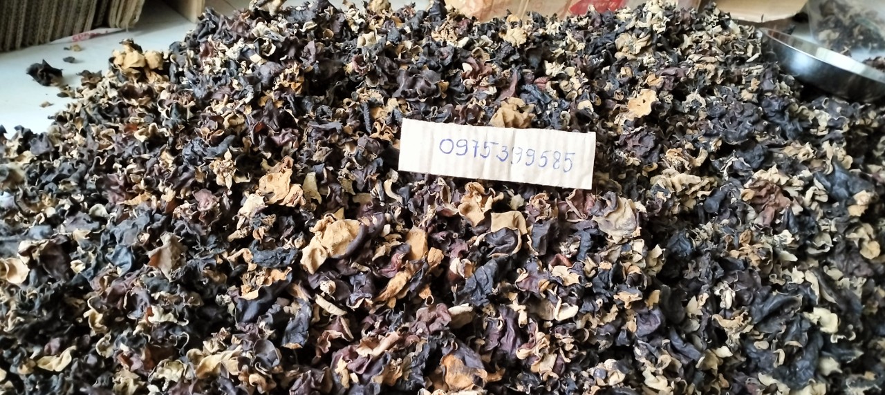 Mộc nhĩ rừng, đặc sản núi rừng tây bắc 1kg