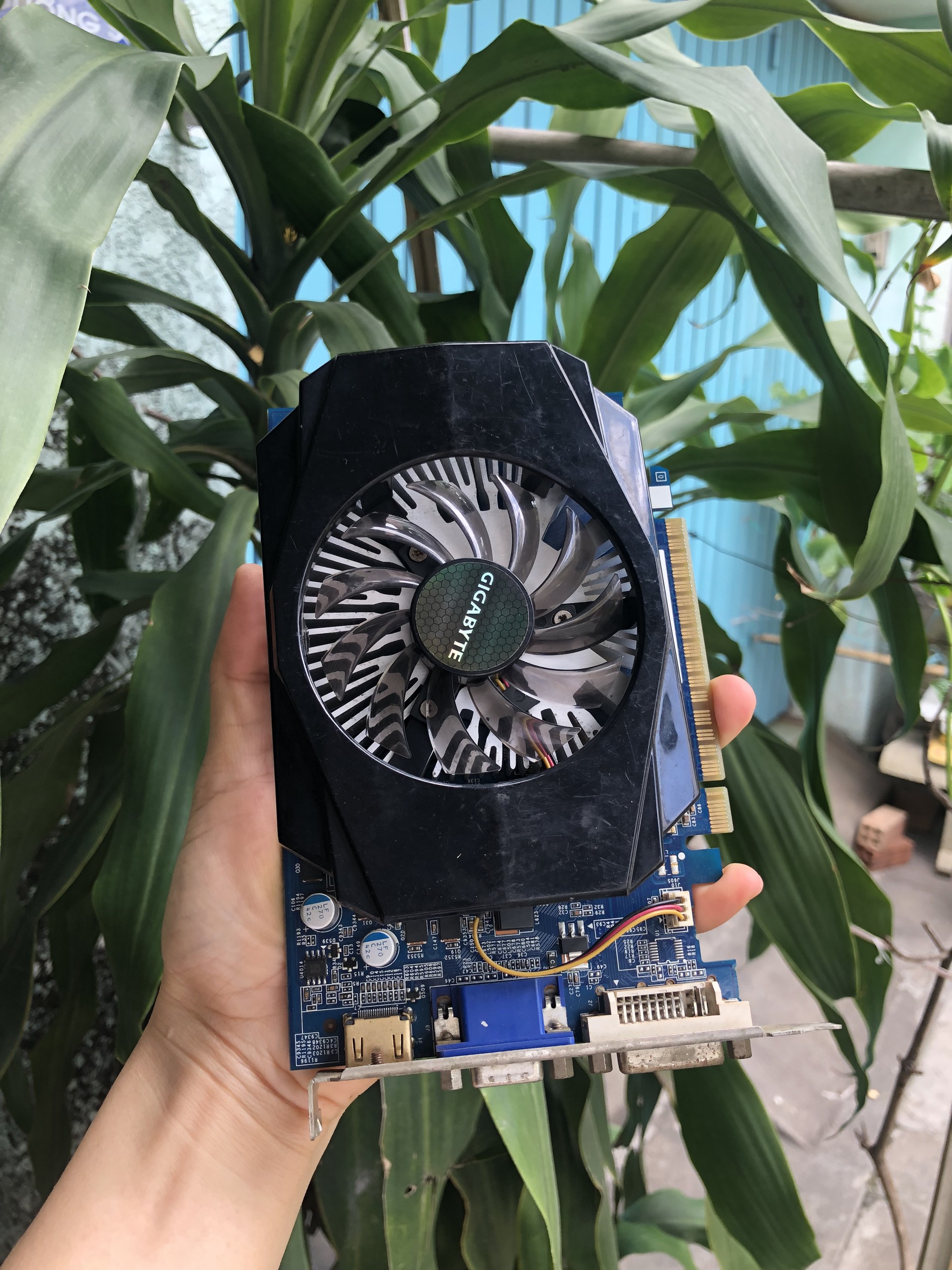 Card màn hình gt630 2g ddr3 gigabyte. đã qua sử dụng. bh 1 tháng 1 đổi 1.