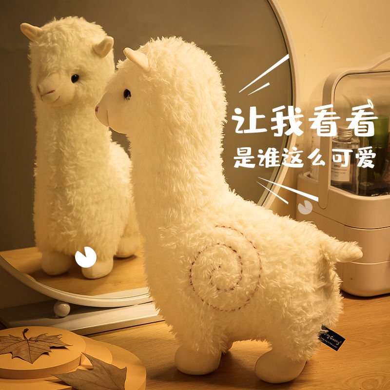 Lạc Đà Alpaca Ngộ Nghĩnh Dễ Thương Kích Thước 38-46-56-65Cm Bunoo Shop